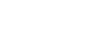 Pythian Technologies Pvt Ltd White Logo