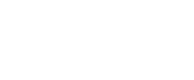 United Nations White Logo