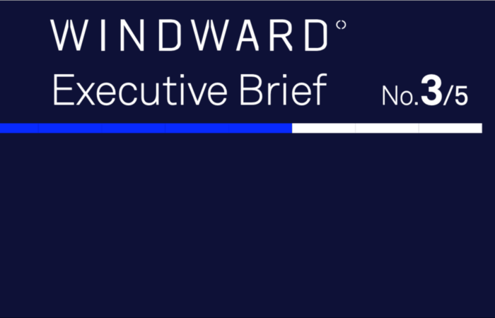 Windward Executive Brief #3