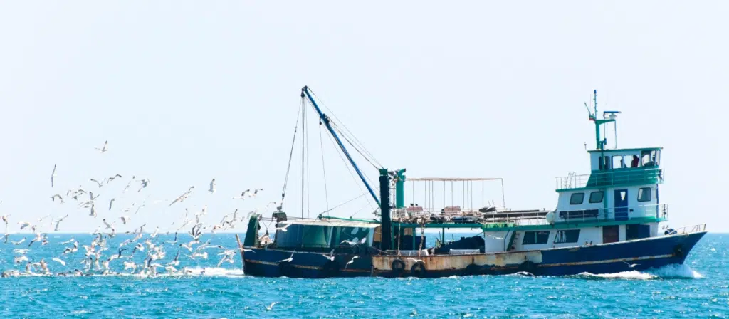 IUU fishing