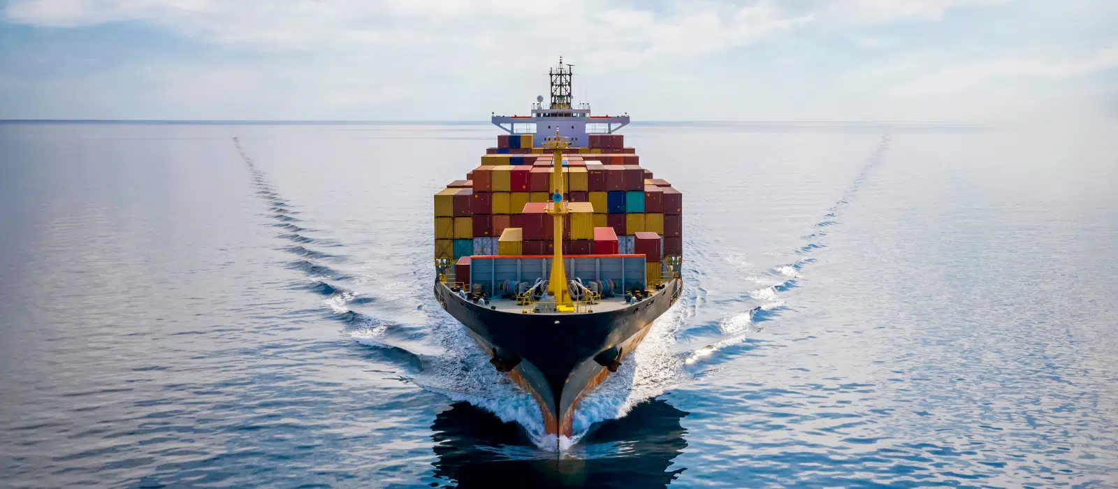 Leading freight forwarders case study