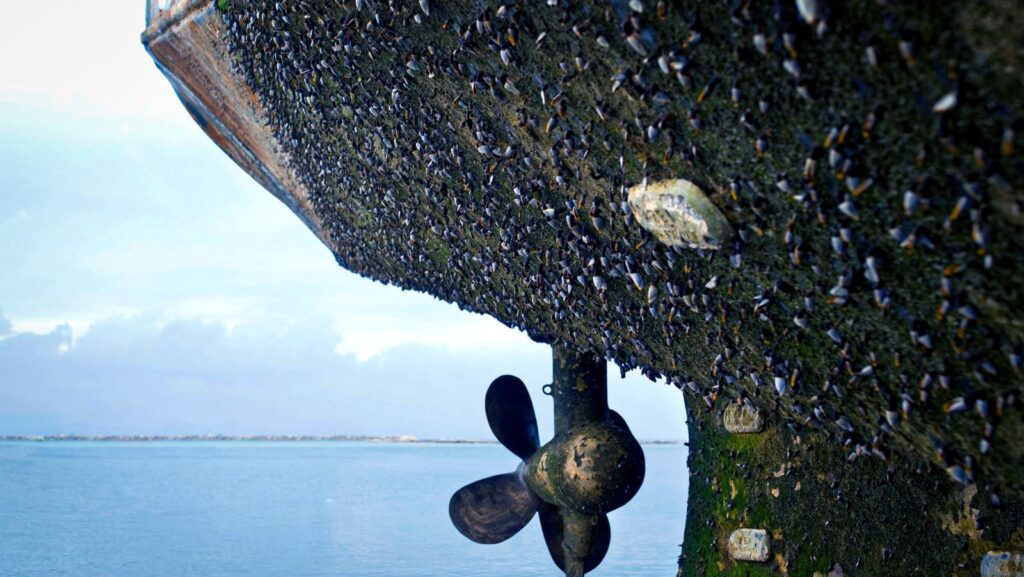 Hull fouling. Source: Master Divers.