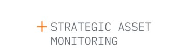 11. STRATEGIC ASSET MONITORING