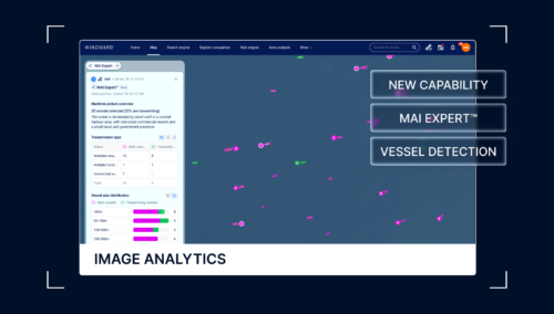 From Pixels to Findings: How Image Analytics Changes What Satellite Imagery Can Tell You