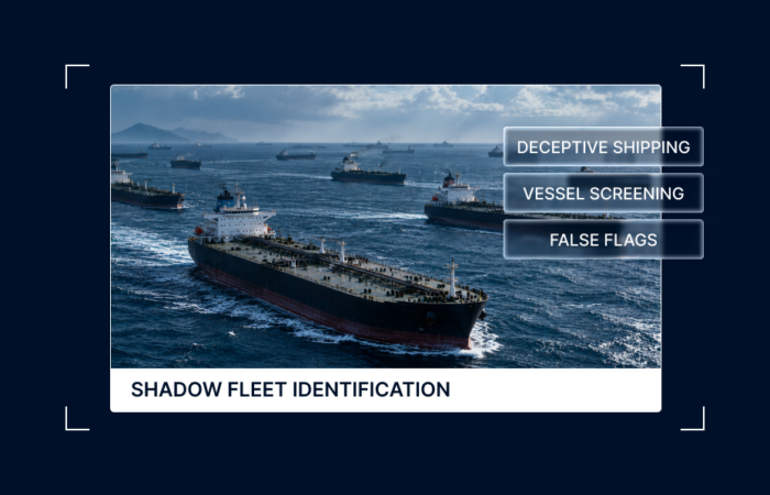 What Is the Shadow Fleet? Definition, Size, and Risk